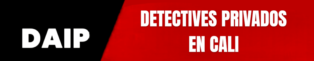 DETECTIVES PRIVADOS DAIP