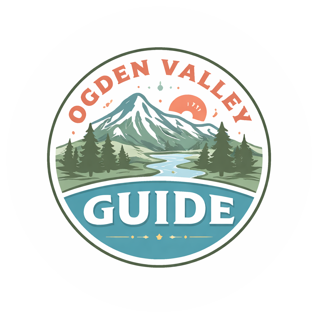 The only guide you need