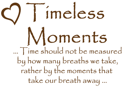 Timeless Moments Wedding Celebrant