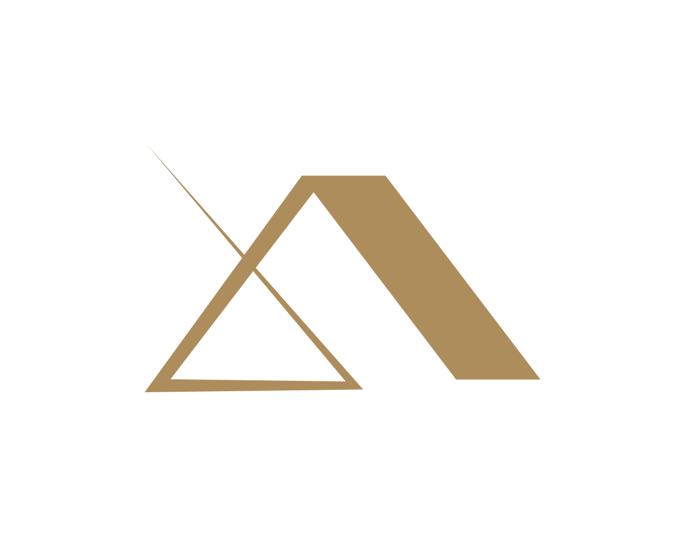 Addis Management Group