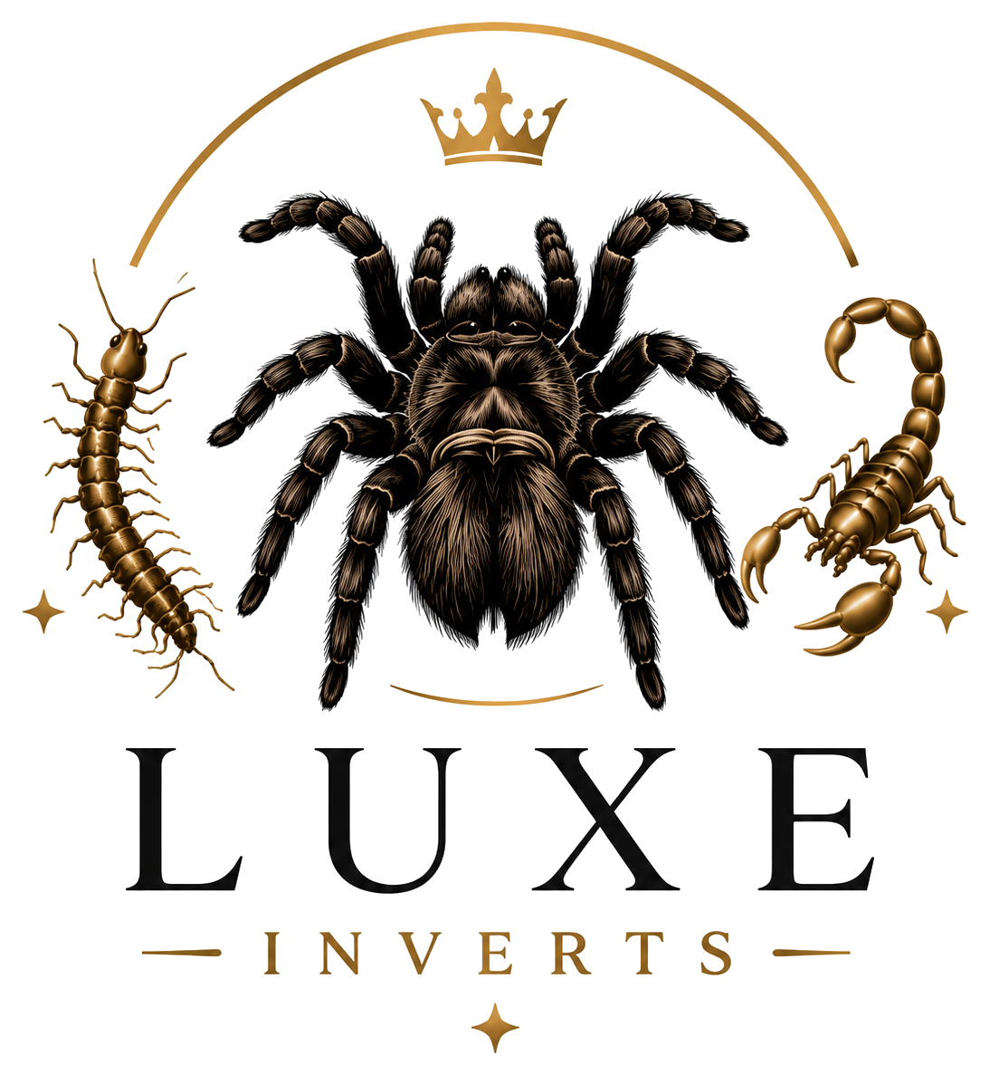 Luxe Inverts