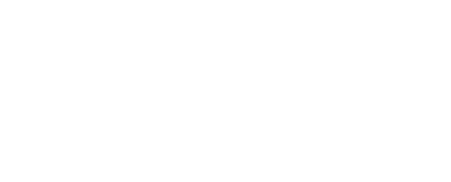 Bodhi &amp; Co Media