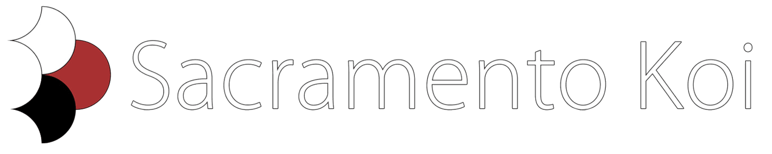 Sacramento Koi