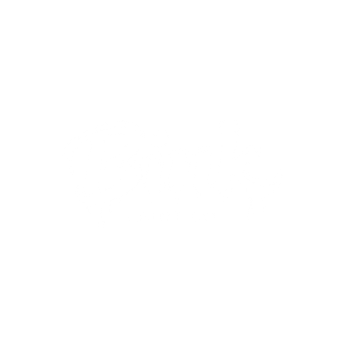Bink Paint Co.