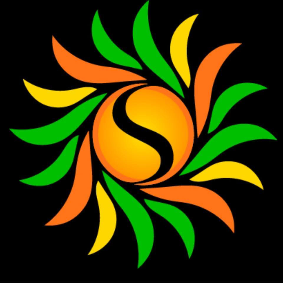 SYNERGY SERVICES NETWORK, LLC