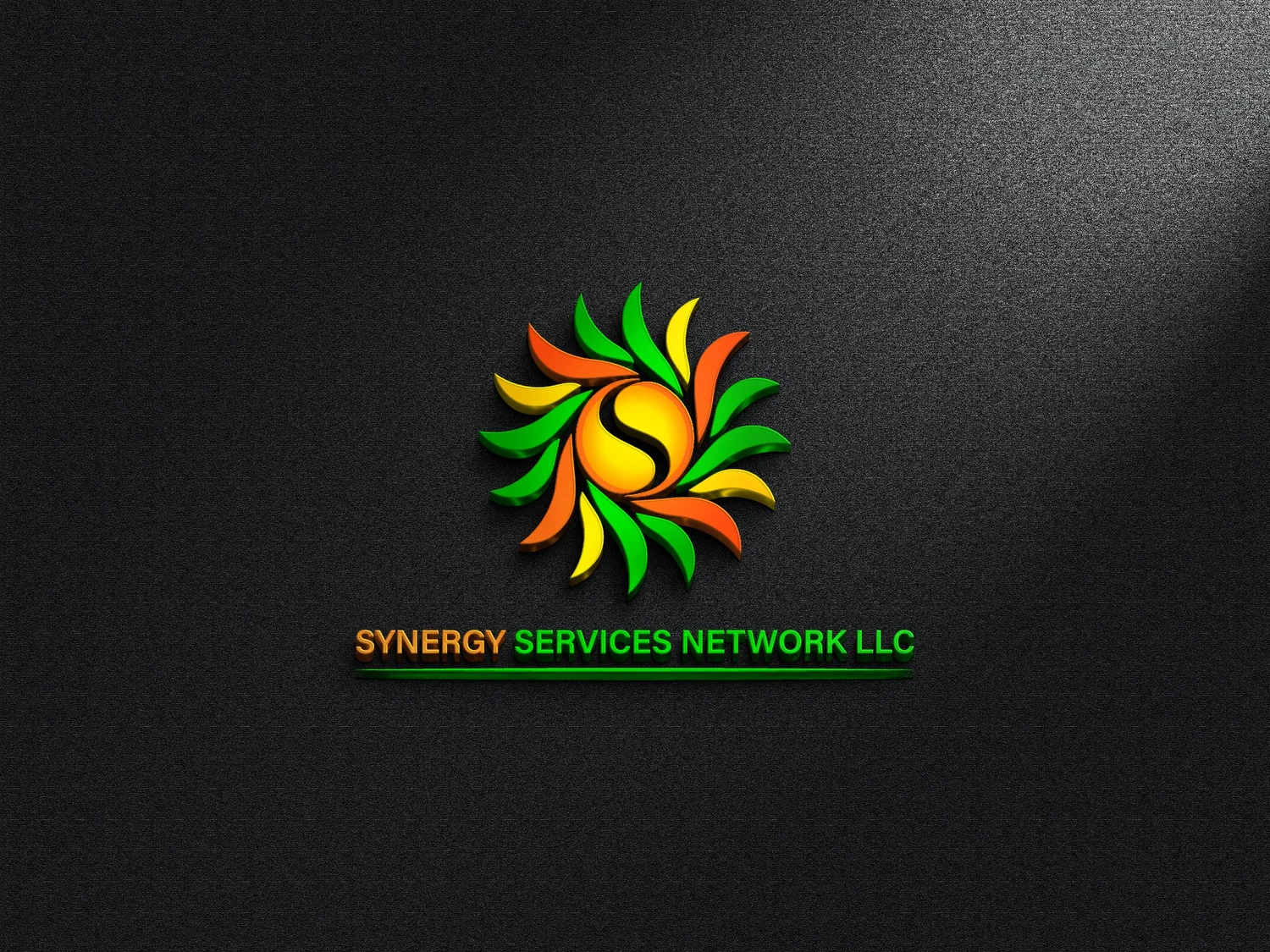 SYNERGY SERVICES NETWORK, LLC