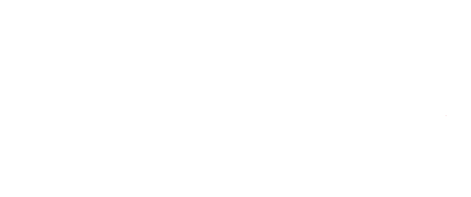 FYBER GROUP