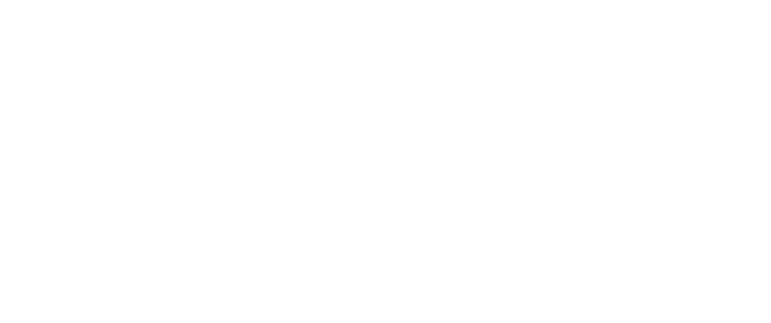 FYBER GROUP