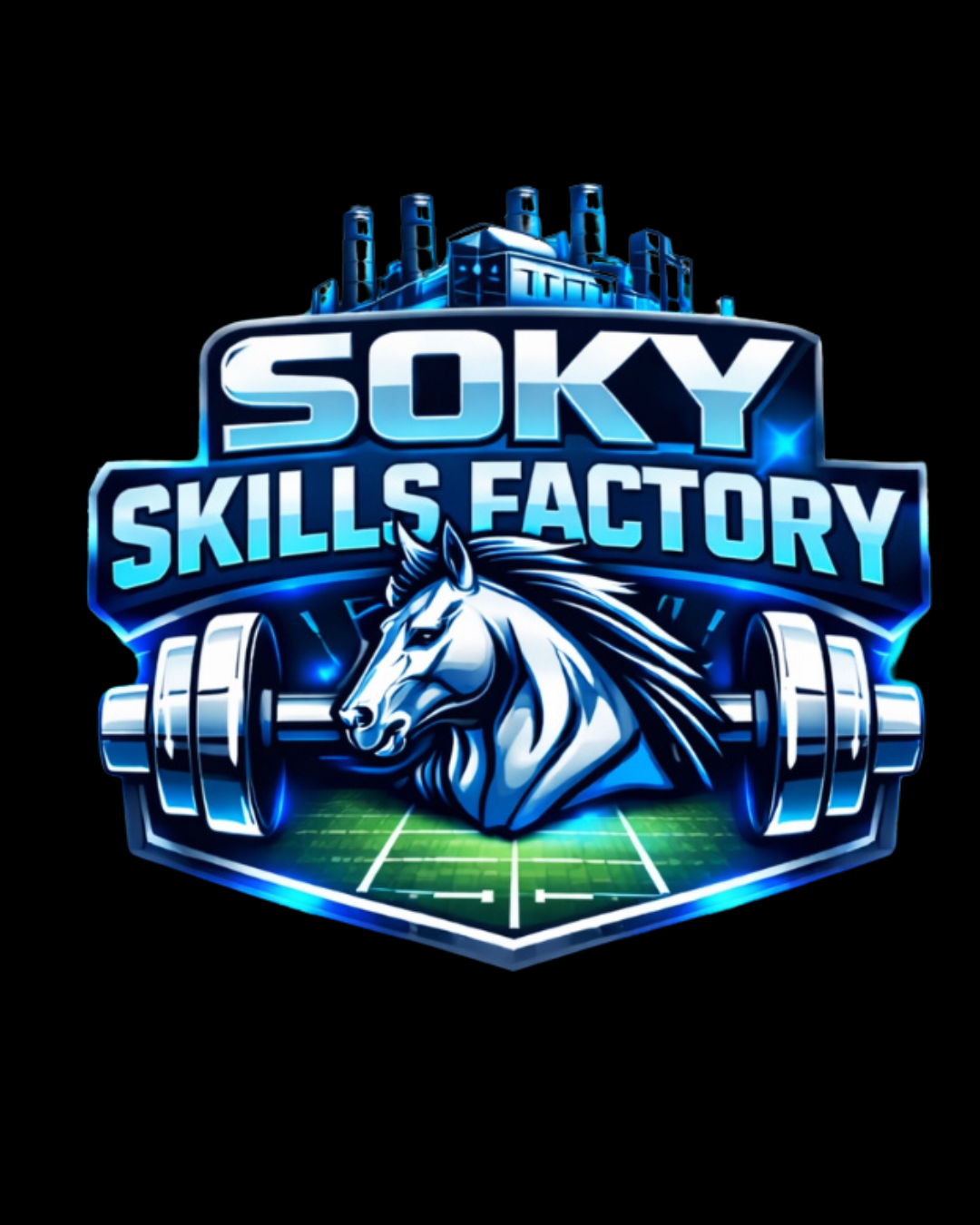SOKY SKILLS FACTORY