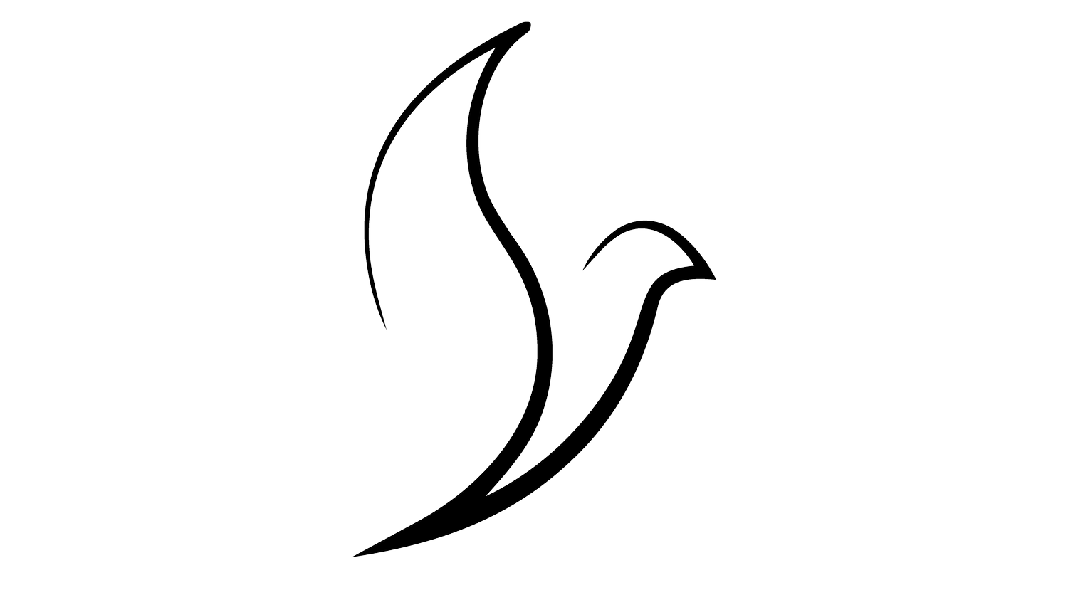 A Brighter Beginning