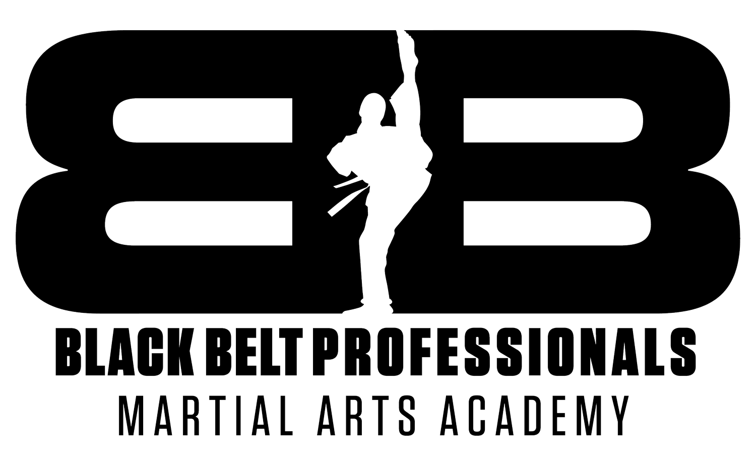 BBP Martial Arts Academy