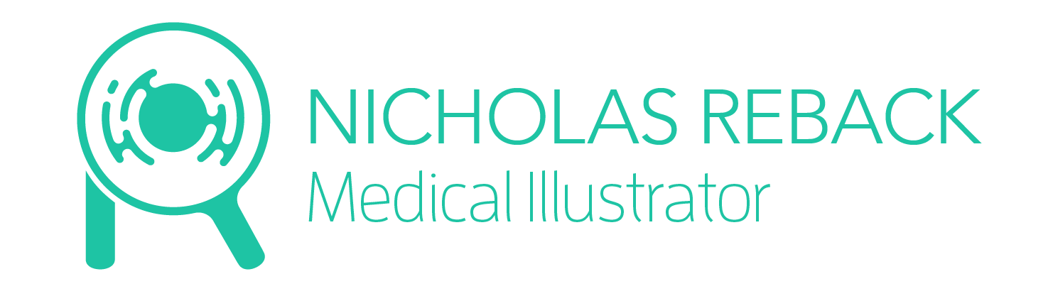 Reback Medical Illustration