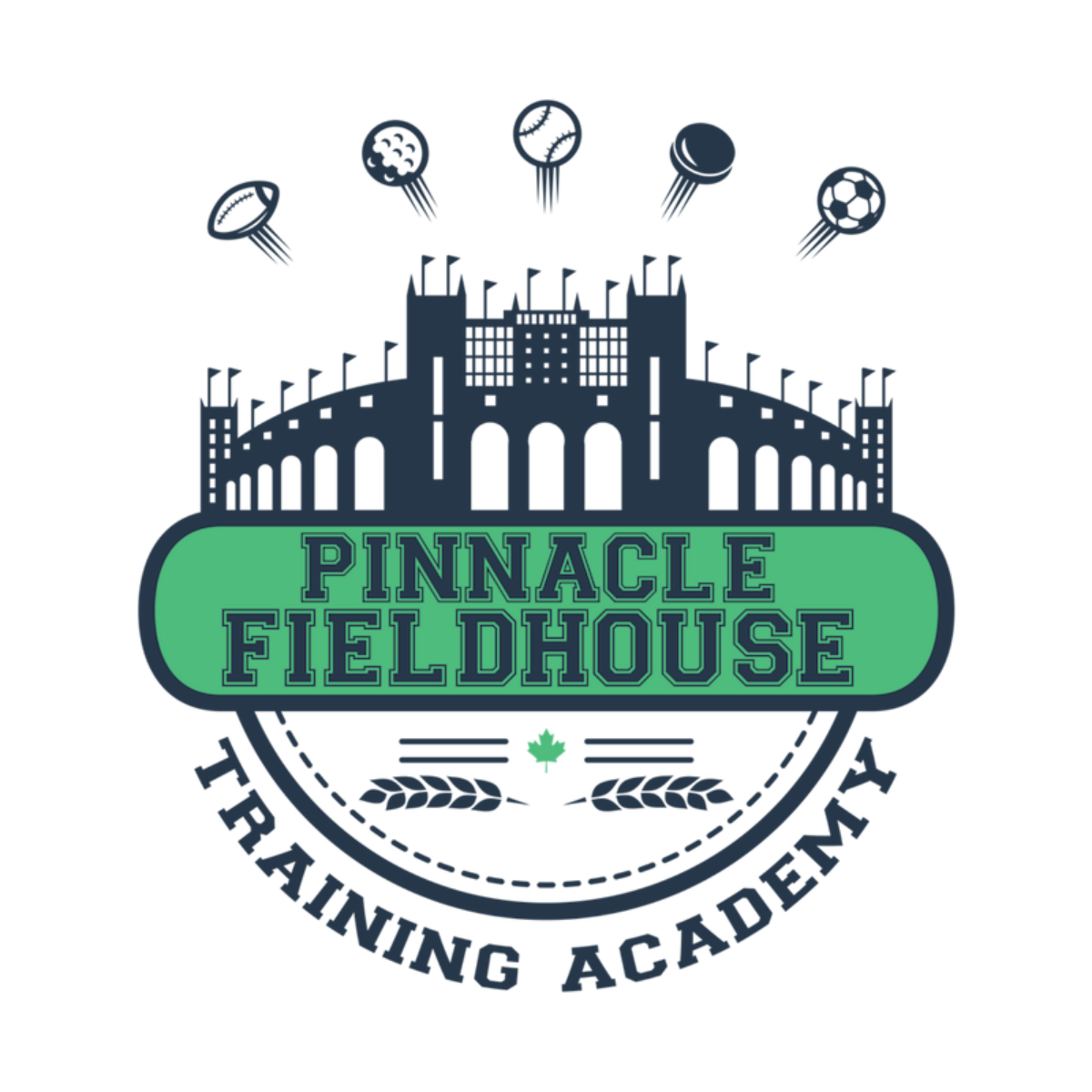 Pinnacle Fieldhouse Training Academy - Stratford, ON