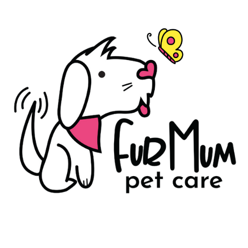 Fur Mum Pet Care - Townsville's Small Dog Specialists