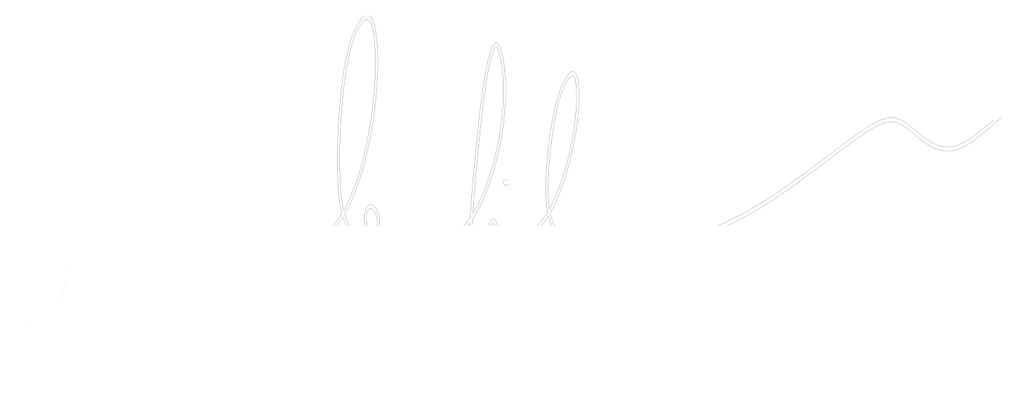 Le Fil