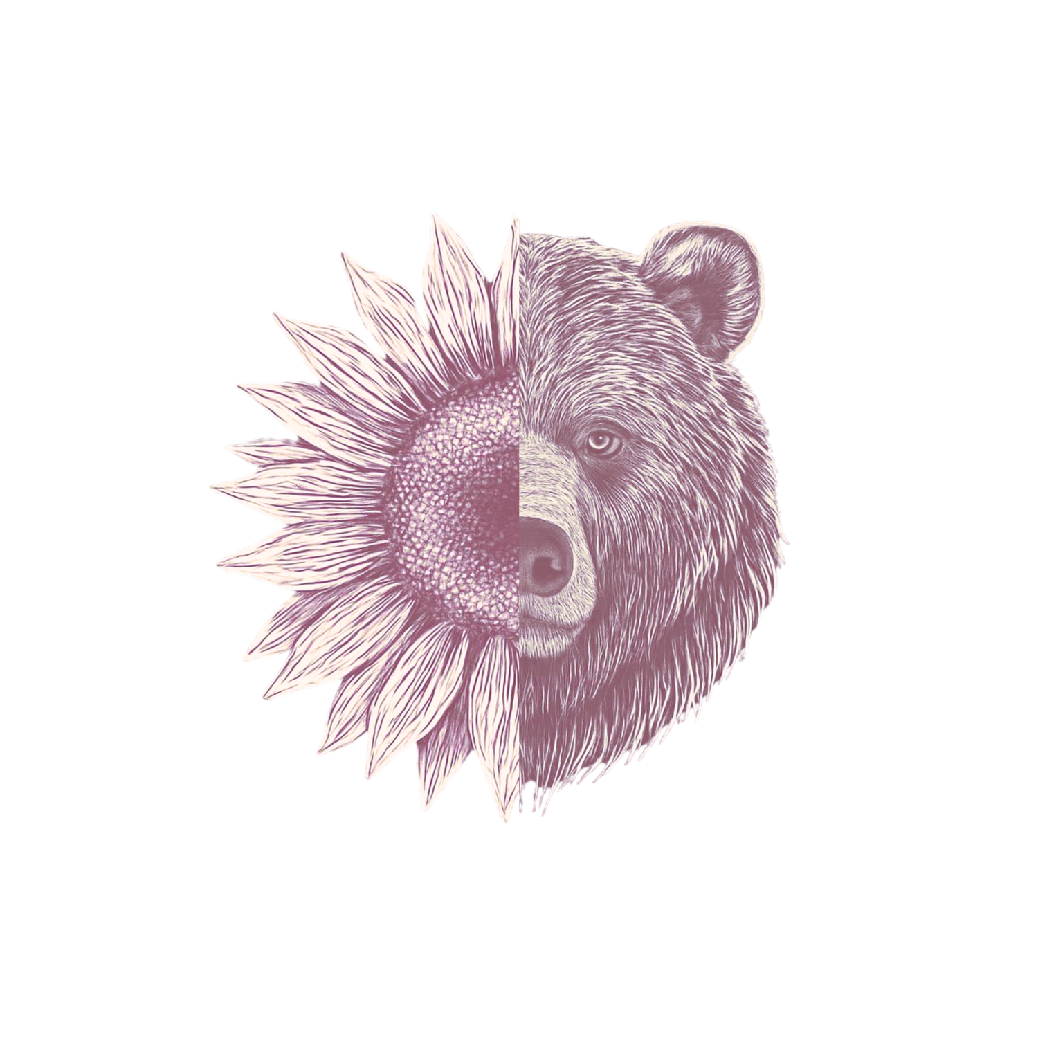 Sunflower & The Bear