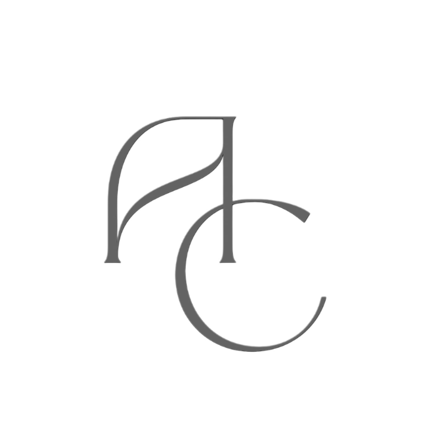 Alice Chen Photography