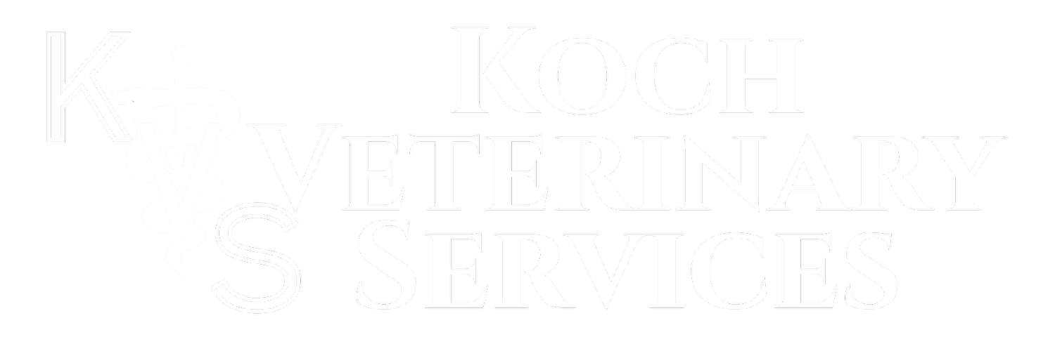 Koch Veterinary Services