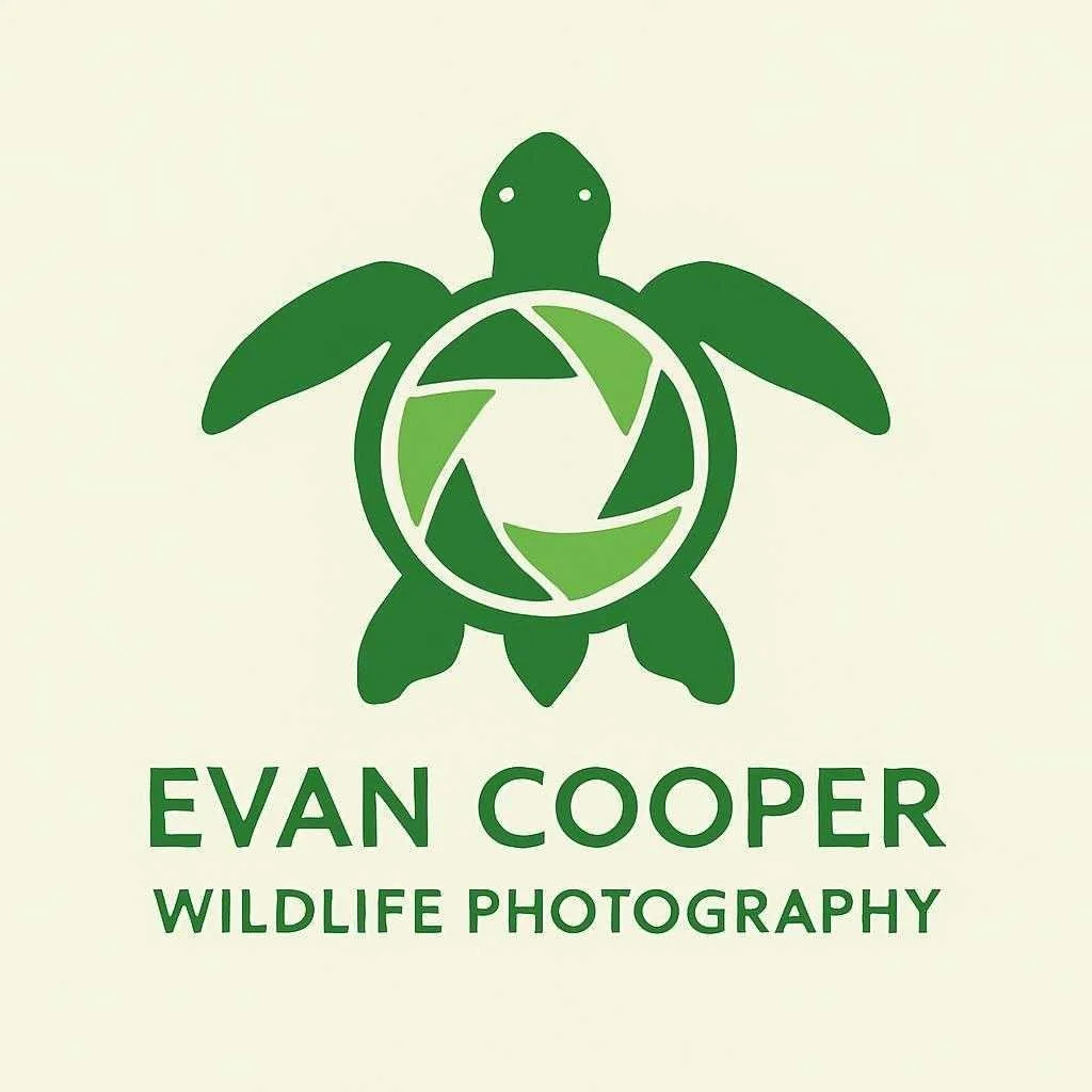 Evan Cooper Wildlife Photography