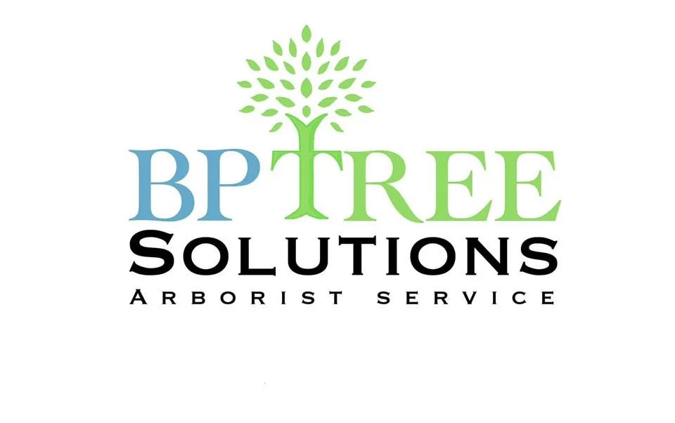 BPTreeSolutions