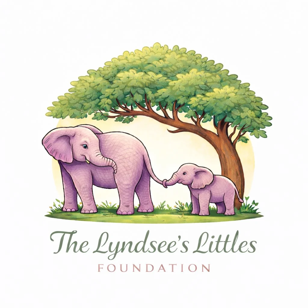 Lyndsee's Littles Foundation