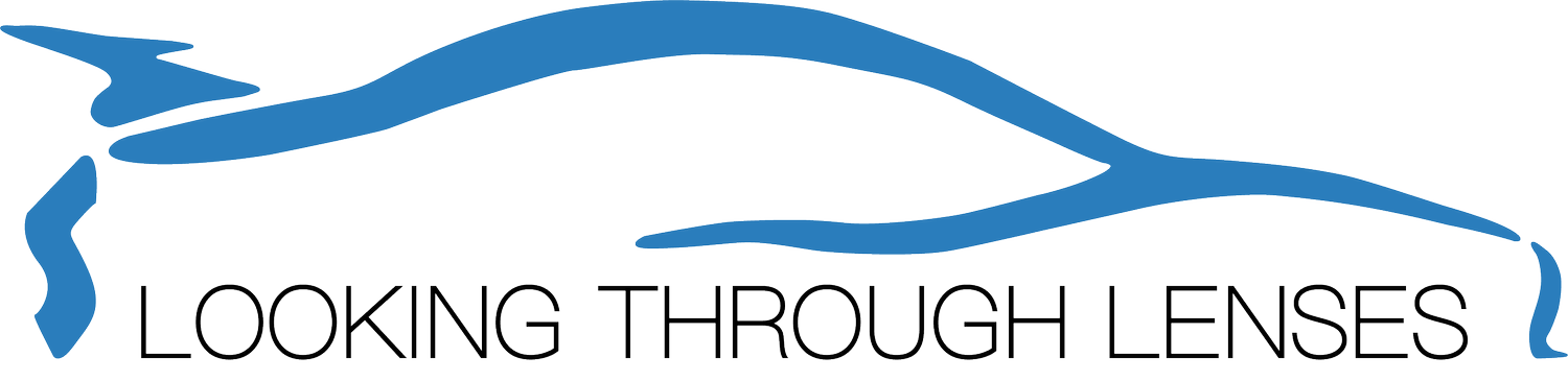 Looking Through Lenses