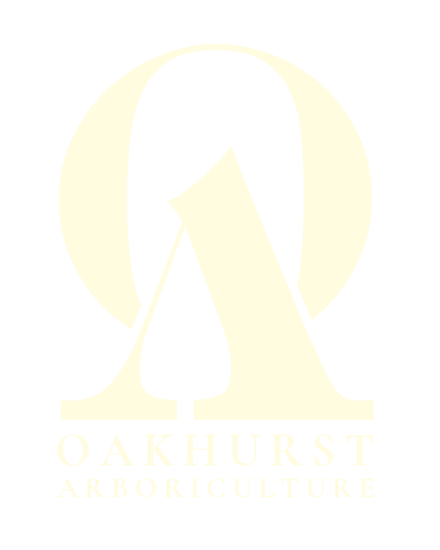 Oakhurst Arboriculture