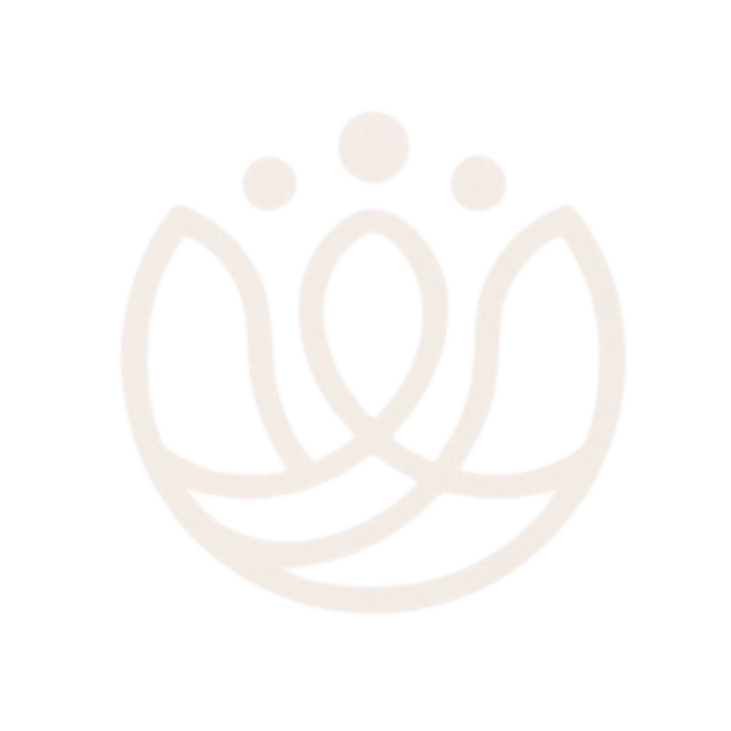 The Well Pilates Studio