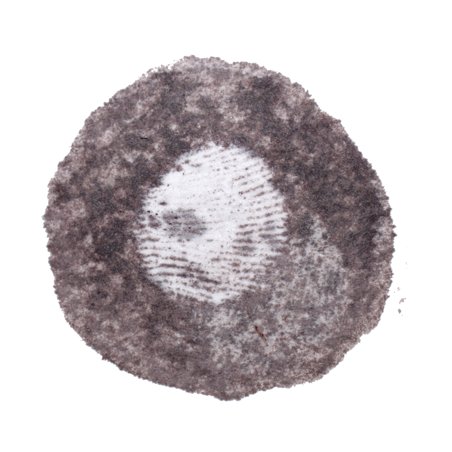 Portafolio de Estéfano