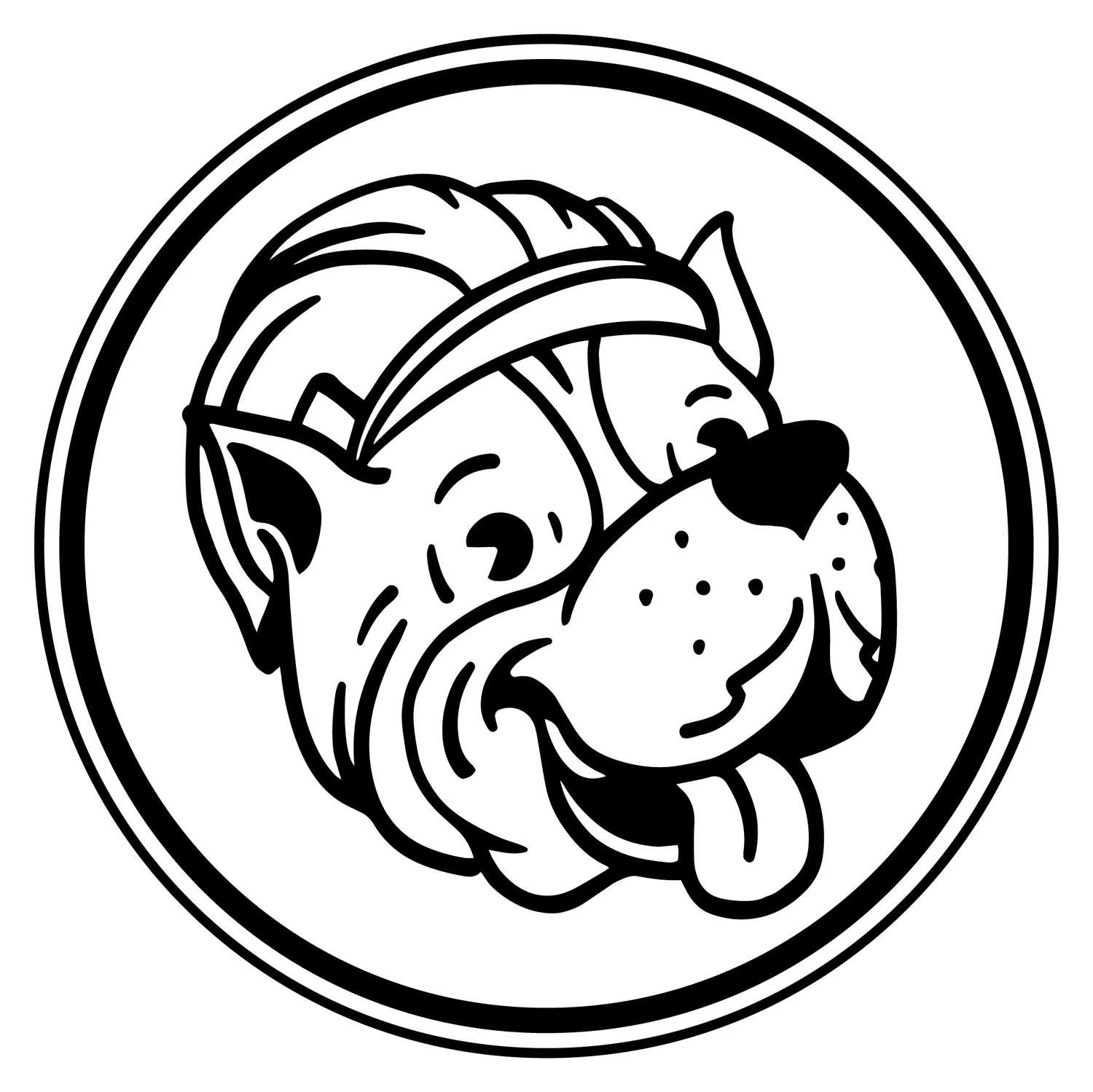 Zebby LLC Tallahassee Fence Builder