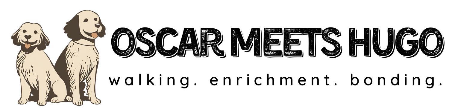 Oscar Meets Hugo | Dog Walking & At‑Home Pet Care Sunshine Coast