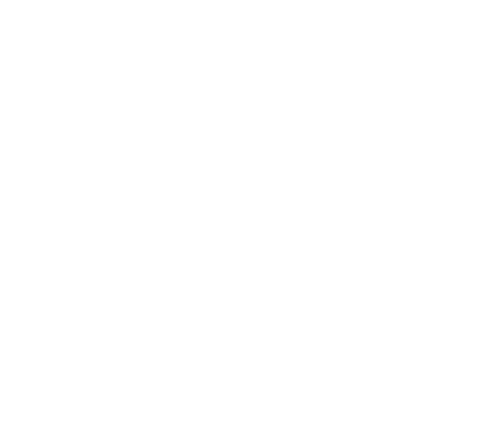 Pewter Equestrian Psychology