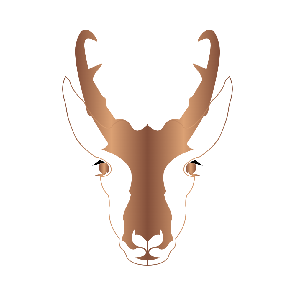 Pronghorn Aircraft Sales