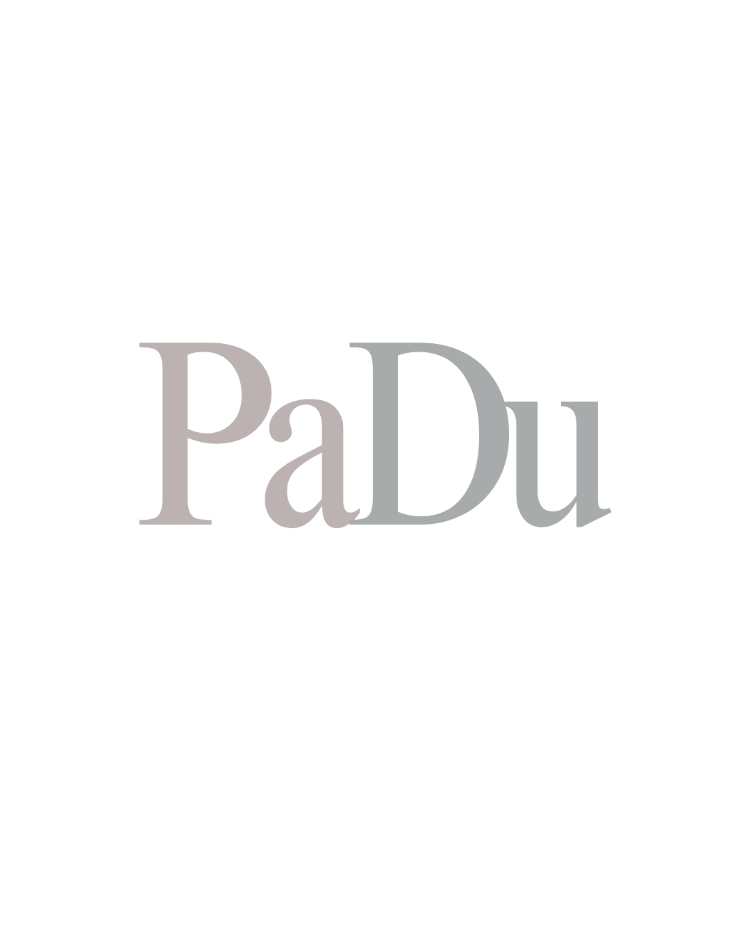 PaDu Store
