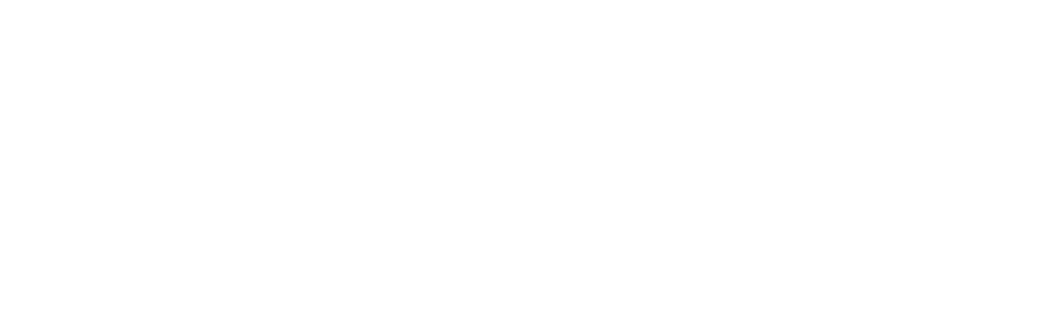 SilverBridge Concierge