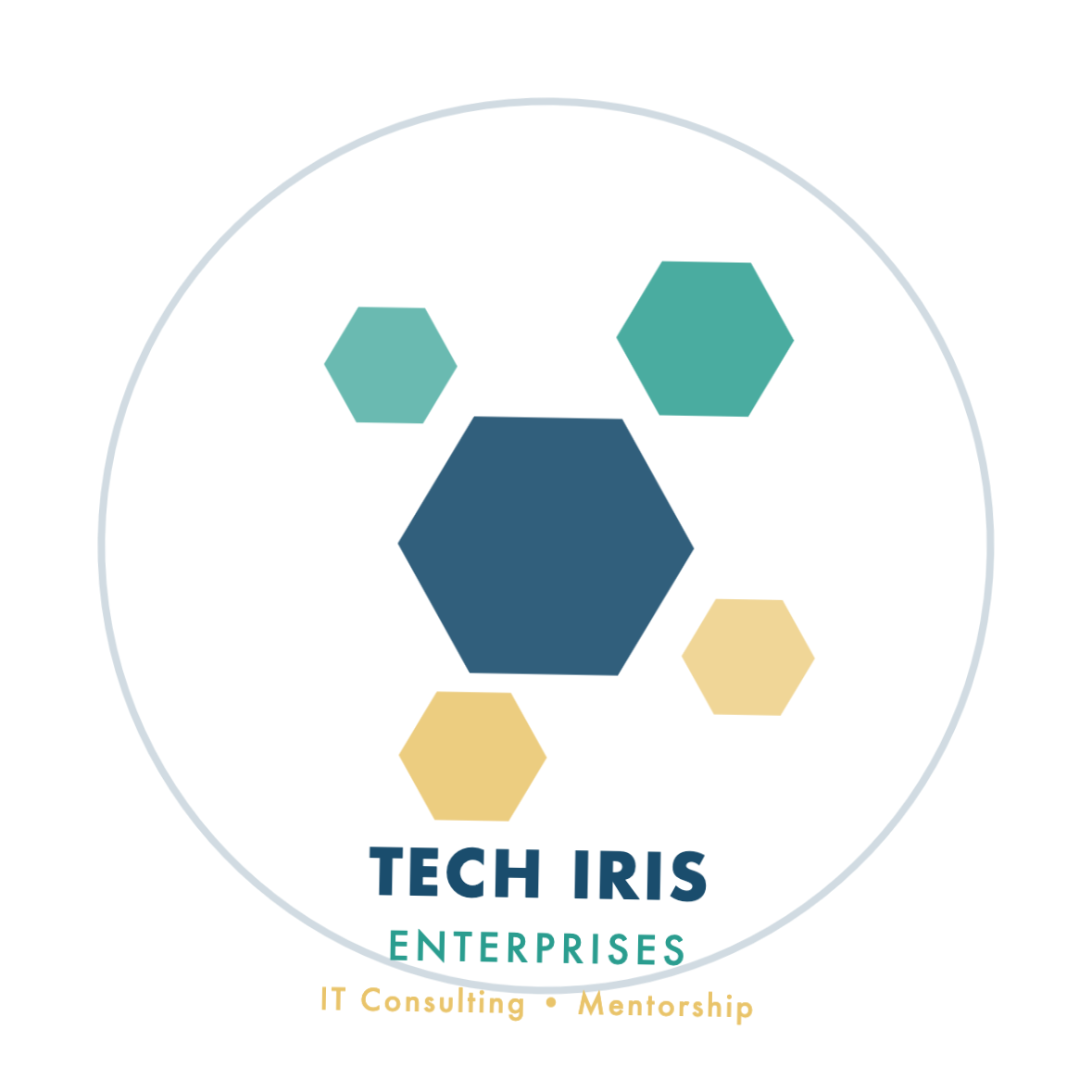 Tech Iris Enterprises LLC