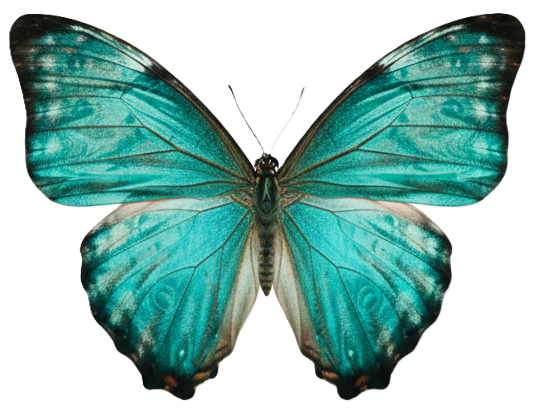 Lou Lasprugato Psychotherapy &amp; Training PLLC