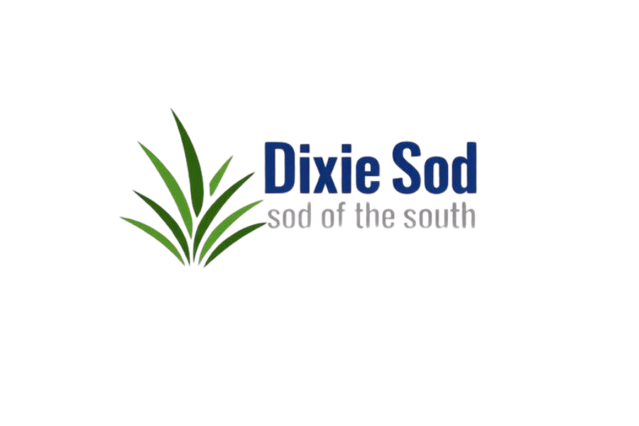 Dixie Sod