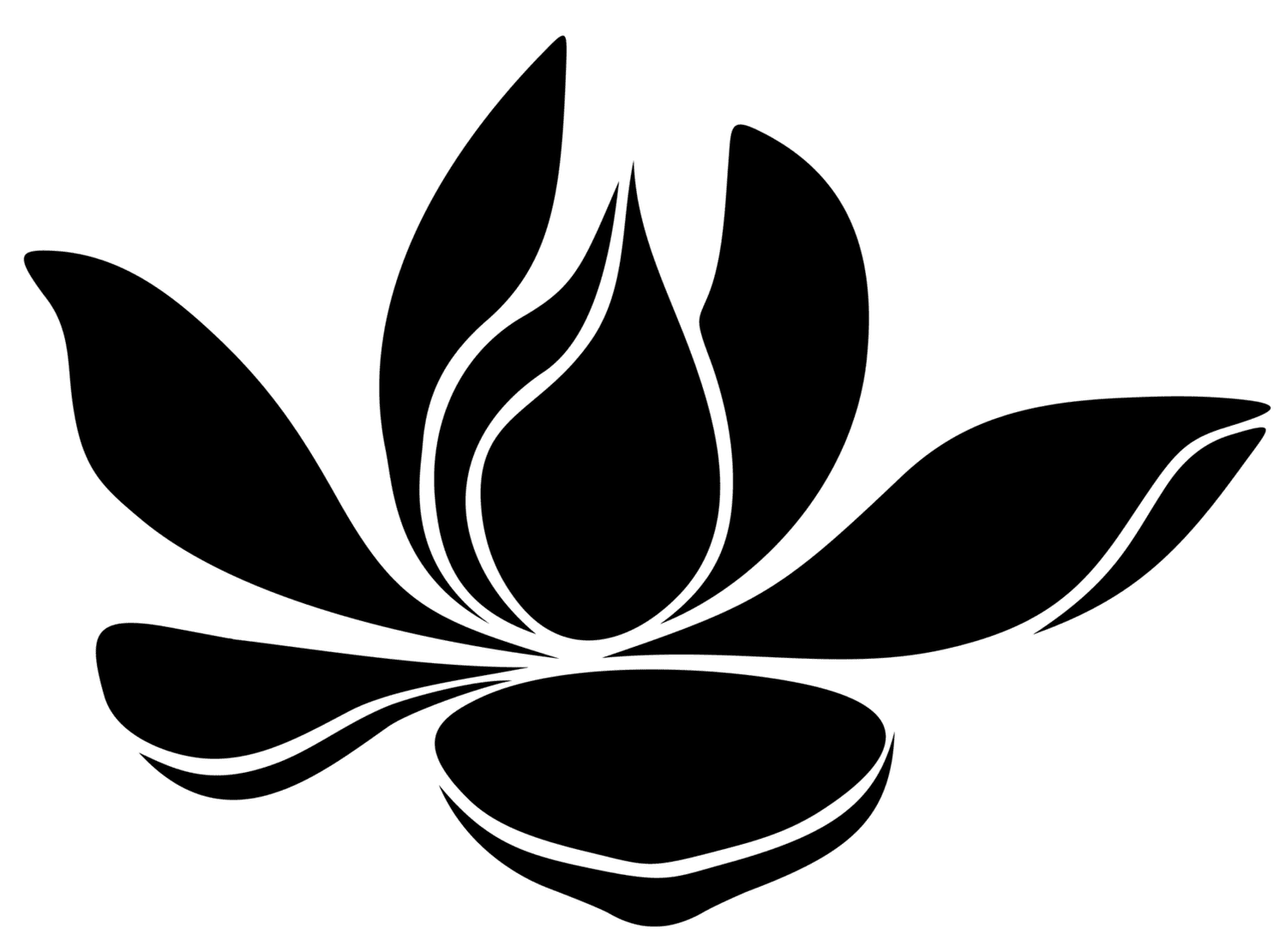 Magnolia House Beauty Co