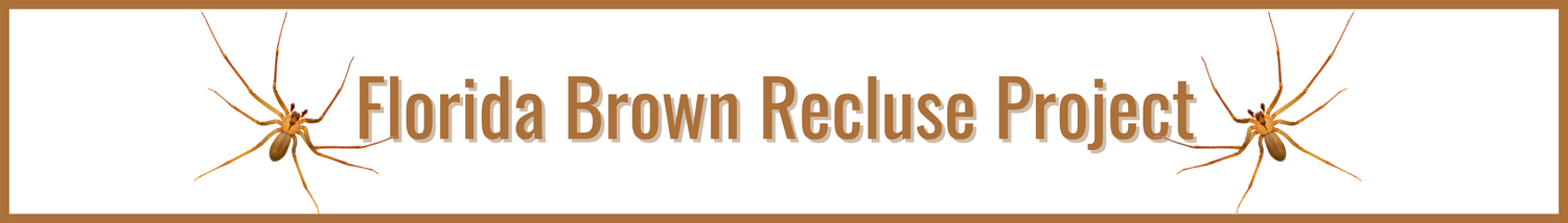 Florida Brown Recluse Project