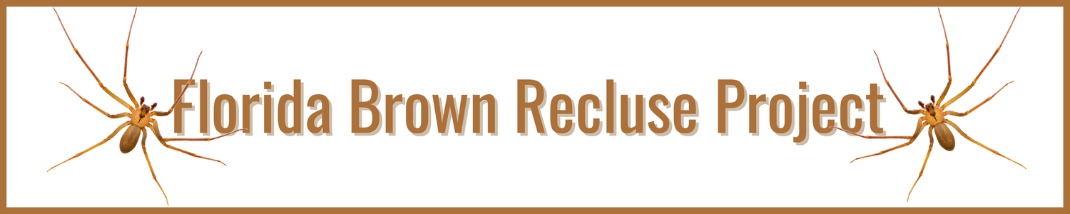 Florida Brown Recluse Project
