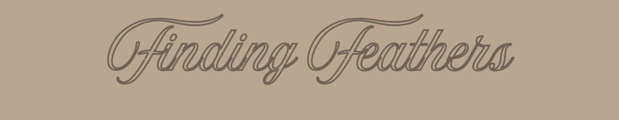 Finding Feathers
