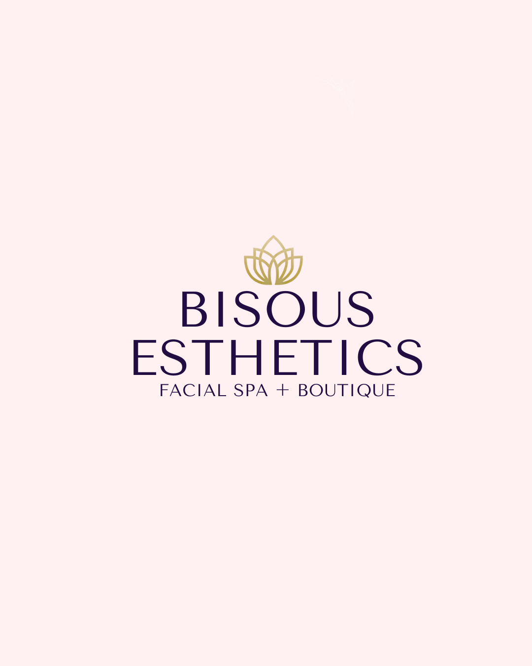 Austin Facial Spa | Bisous Esthetics