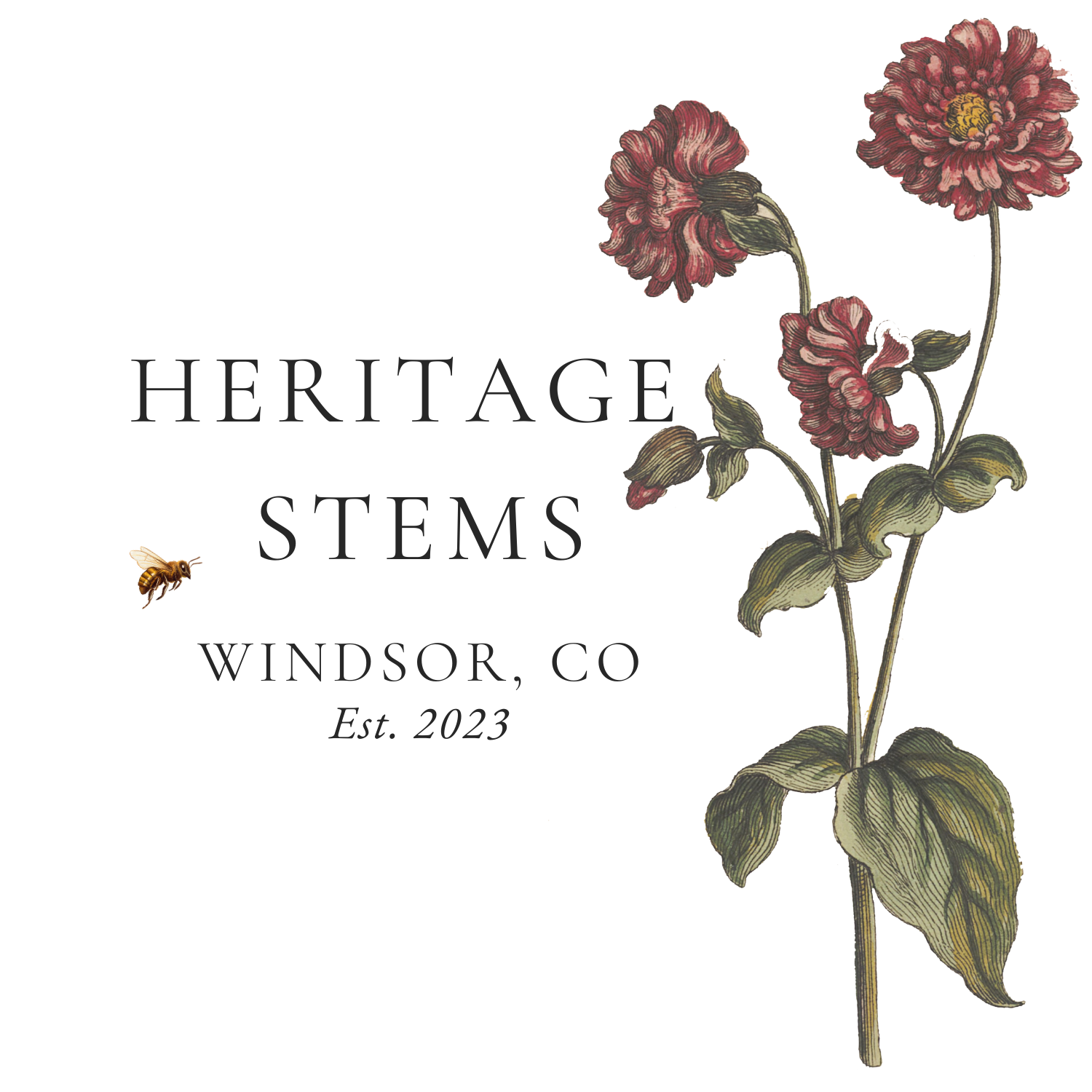 Heritage Stems Flower Farm, Windsor, Colorado