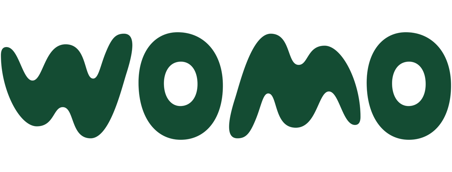 WOMO Burger and Fries