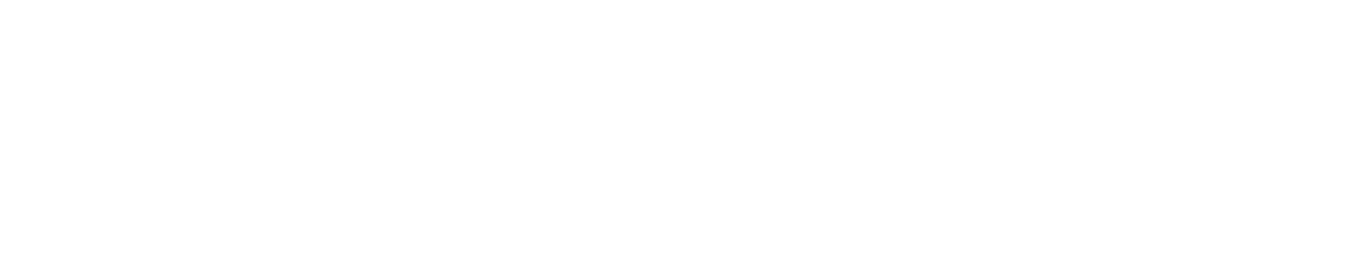 Foreign Trade Consulting