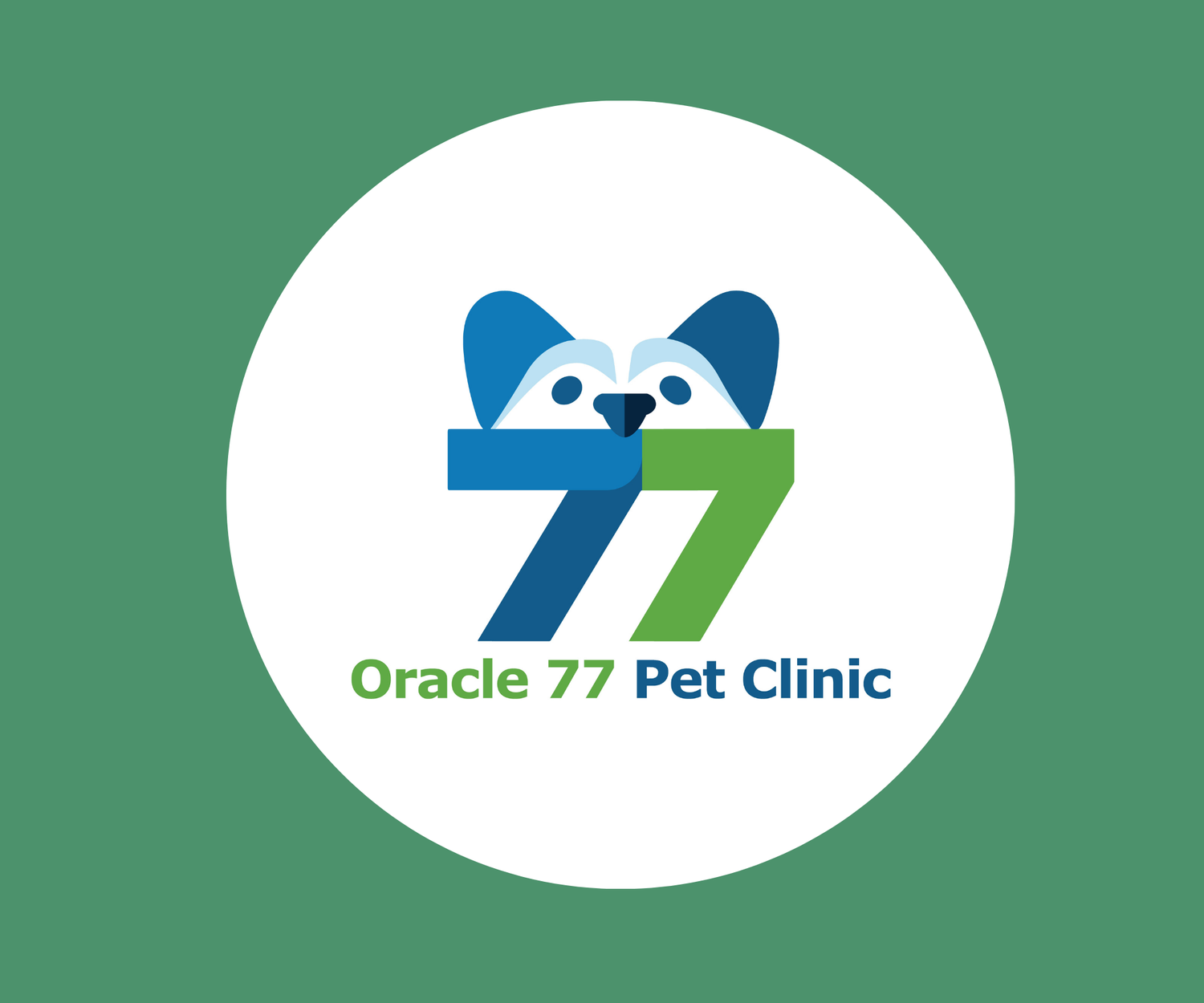 Oracle 77 Pet Clinic