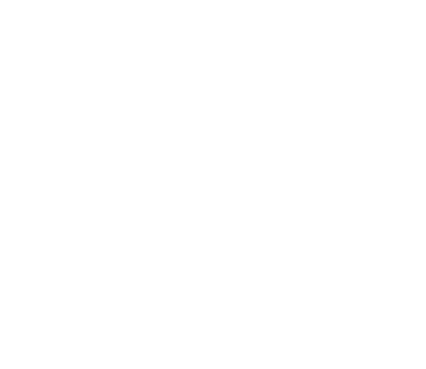 WEIR'S PLAZA