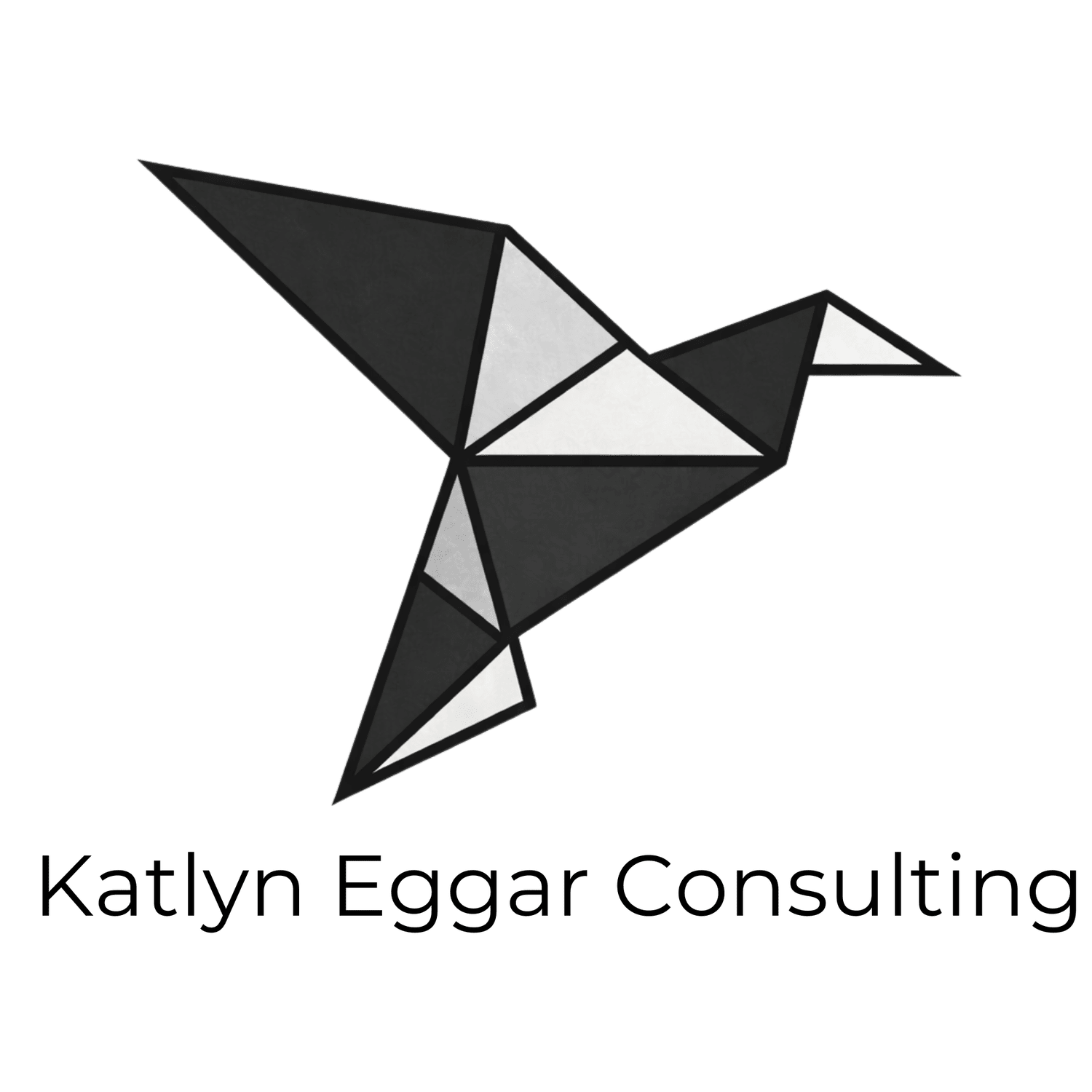 Katlyn Eggar Consulting