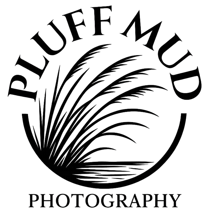 Pluff Mud Photography